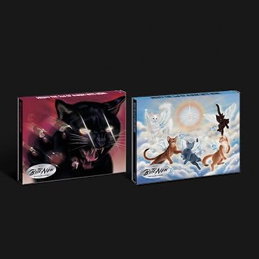 Amazon.co.jp 最新リリース: CD-R の新着ランキングです。